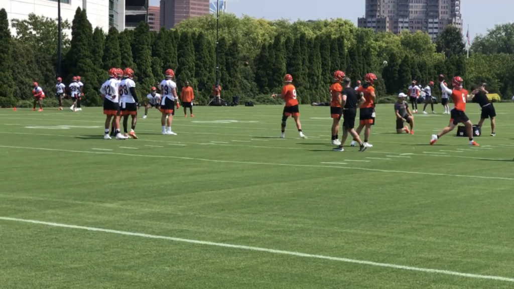 Bengals Camp: Day 1 Observations Joe Burrow Steps Into It, Tee Higgins Shines